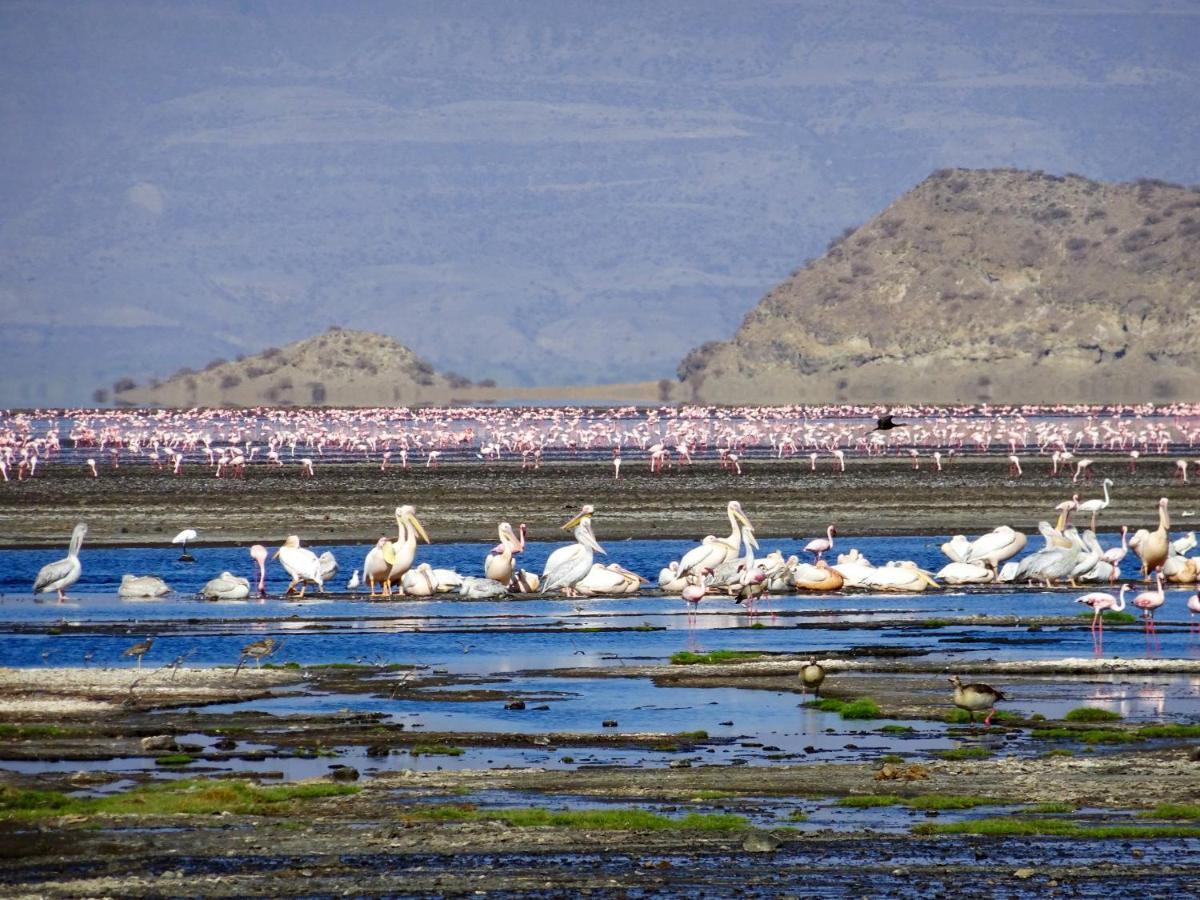 Africa Safari Lake Natron Mtowabaga Екстер'єр фото